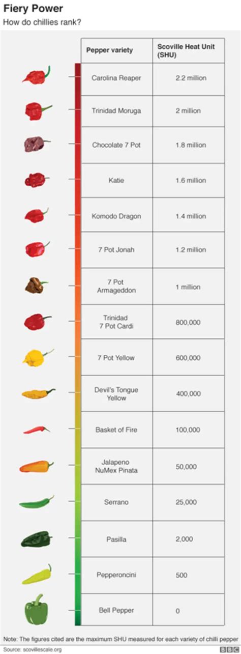 辣椒|辣椒：令人痛并快乐着的食物为何风靡全球？